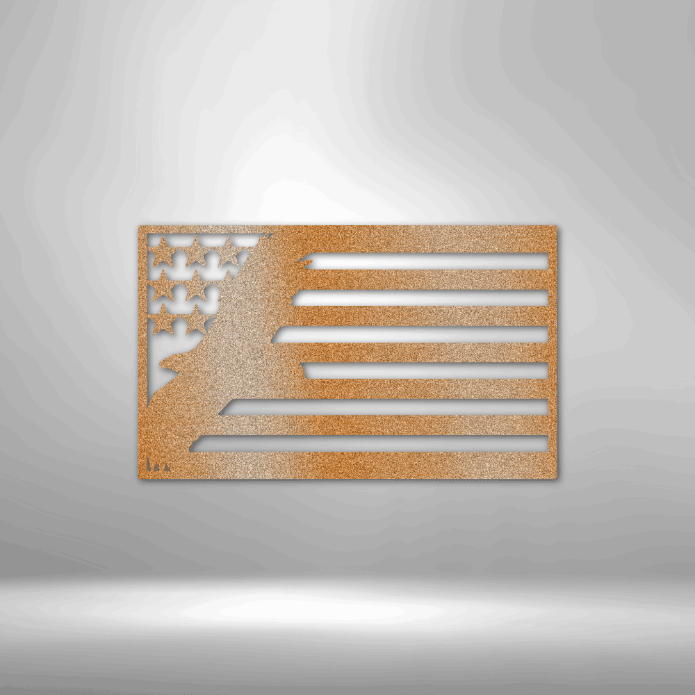 USA Eagle - Steel Sign (5 Colors)